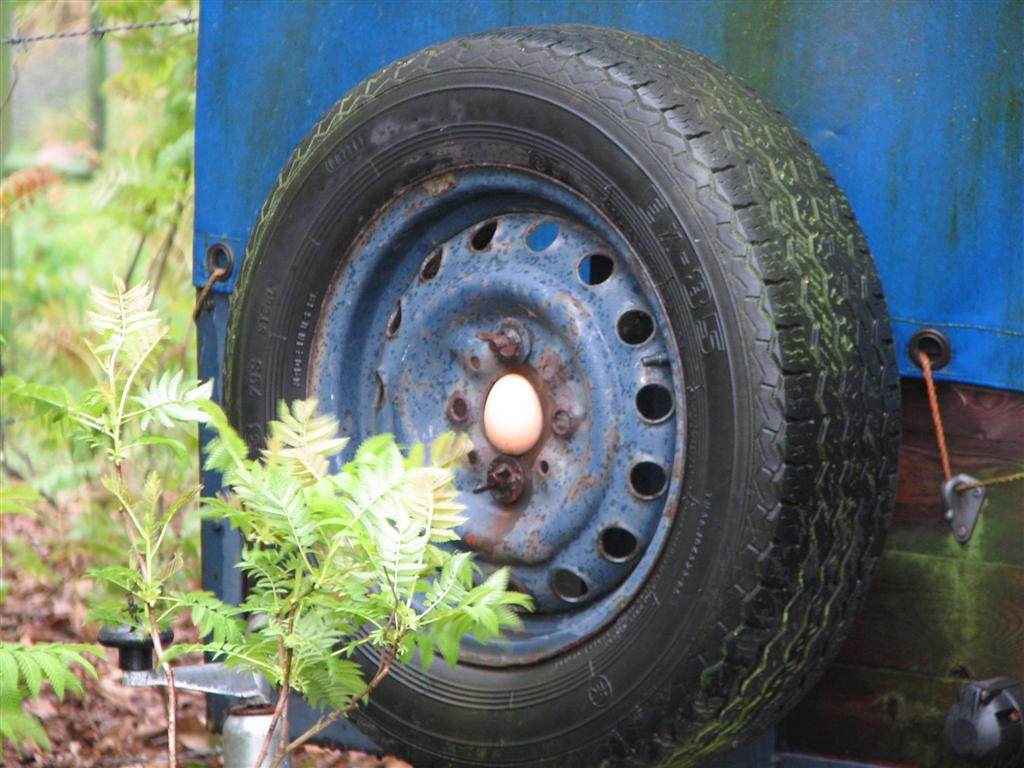 2008_03_22_paaseieren (114).jpg